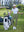 Model on course holding club and bag in Women's 7/8 ankle golf track pants, olive green