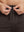 Front waistband detail of Water Resistant Comfy Fleece Golf Joggers in coffee brown