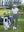 Model on course holding club and bag in Women's 7/8 ankle golf track pants, dark grey